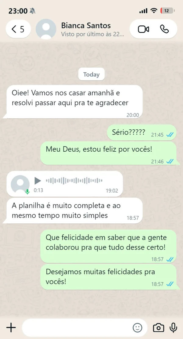 Mensagem de uma noiva no WhatsApp agradecendo pela planilha